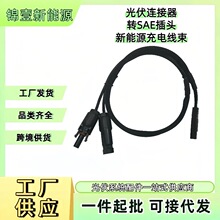 ����B�����DSAE���^����Դ��늾��������p��4mm2�ھ��L35CM