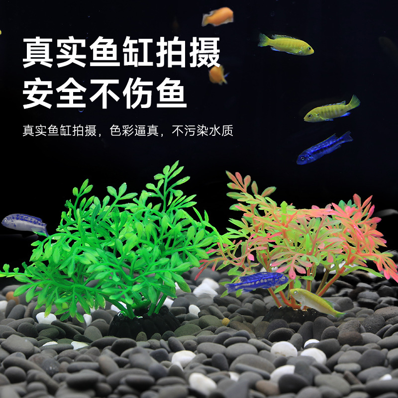 沙盘酒店摆盘微景观装饰水族箱鱼缸造景塑料仿真水草假植物CS系列