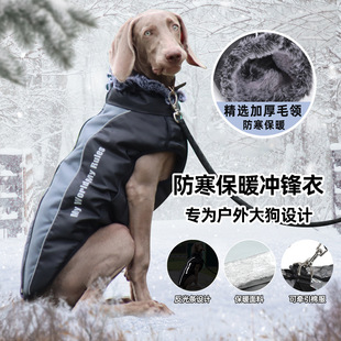 �����Ӻ�ů��������ë�I���L��ˮ�д���Ȯ�������R�׌����·�