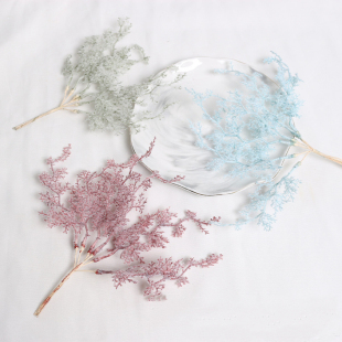 Frosty Plant Coral Art Junk Journal Micro Landscape DIY Decoration Accessories Floral Materials