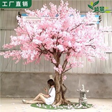 ����ѻ����һ����쾰�bٻ��̈��쾰������ؔ[���S��҃���
