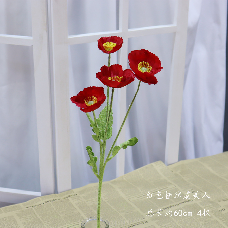 붉은 양귀비 가지