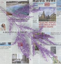 ��֦�������ϻ������� ��Y�� �Ƶ�ܛ�b��픳����b������