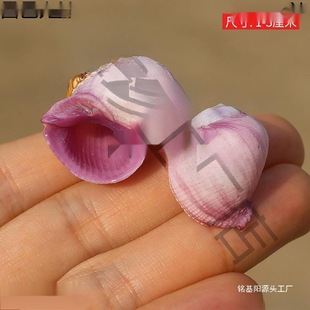 �Ͽ�ɺ������ȻС��ؐ��ϡ���ղ��~���b����ݼľ�з��Q��