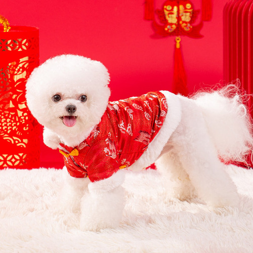 Puppy New Year Tang Suit Warm Thickened Two-legged Cotton Clothes New Year Festive Cat Small Dog Pet Clothes Wholesale