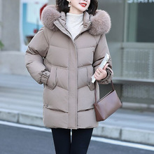 ���b���L����¿���Ӻ���q������Ů����2025��Ᵽů������