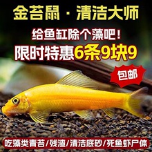 ��̦���~���~����̦�������幤���~��ˮ�~С�͟Ꭷ�^�p�~�������~