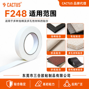 Cactus F248 �o�����p���z ��ճ�޼��p���z�� EVA ������Ʊ��z
