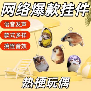 �ҵĵ����Z������ȱ����������l��ȰͲ�ë�q��ż���������