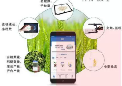 ИСТОЧНИК производитель в наличии Оптовая lvbo система обнаружения фенотипа пшеницы инструмент удобный детектор фенотипа пшеницы