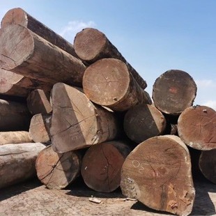 �M�ڼt����ԭľ  �t���Ұ�ĬF؛���� ľ��݆��  �͸���ľ�Ҿ���