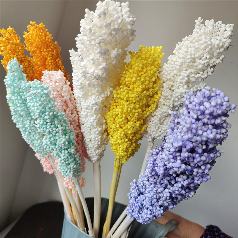 sorghum dried flower permanent flower everlasting flower bouquet home decoration plant real flower window coffee shop homestay decoration sorghum dried flower permanent flower everlasting flower bouquet home decoration plant real flower window coffee shop homestay decoration