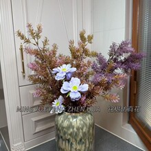 ���R�ɷ���Gֲ�������Ĵ������ҿͲ͏d�d���P�Ҿ��b�