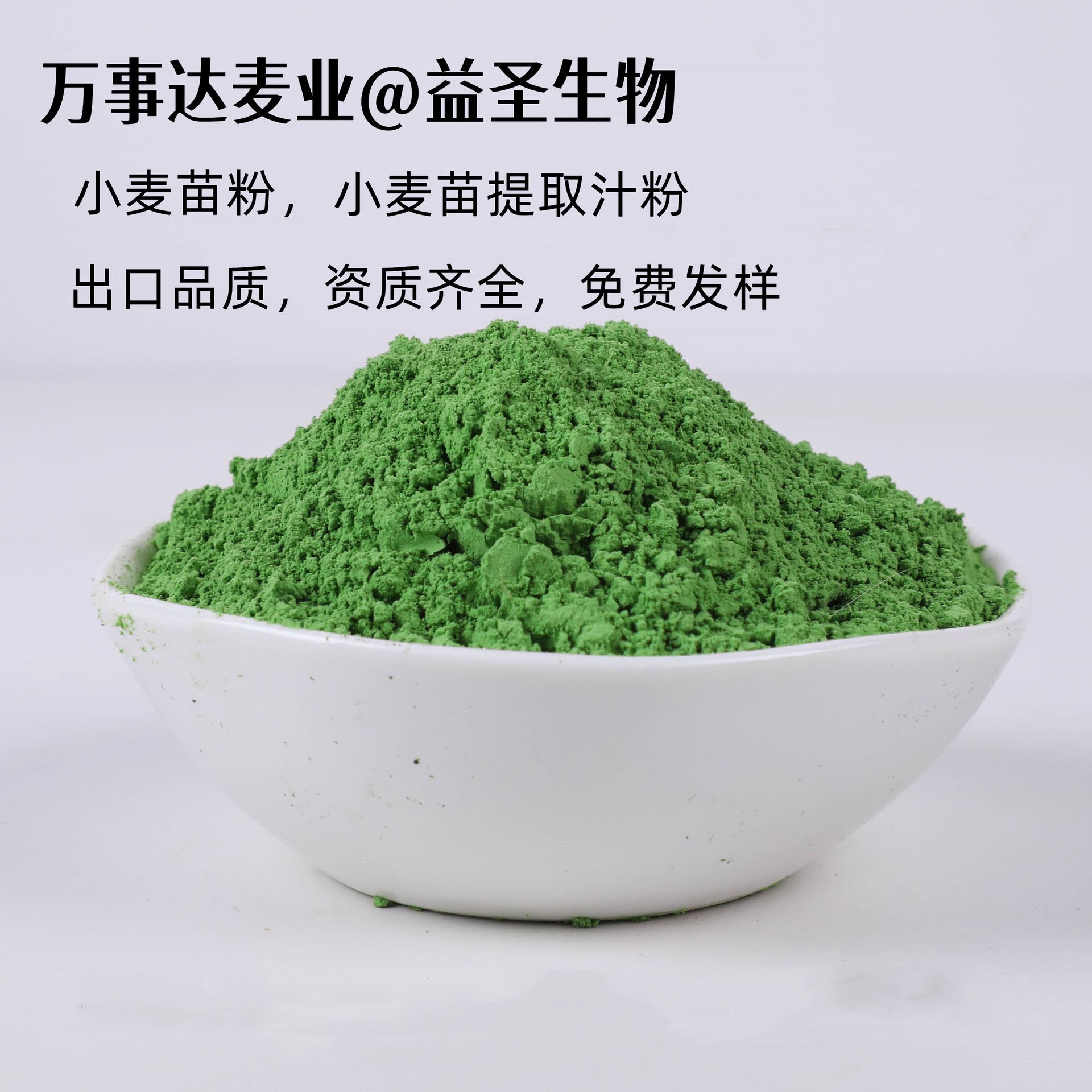 出口欧美有机代餐小麦苗粉  青团原料青汁麦汁速溶麦草粉提取汁粉