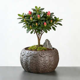复古粗陶花盆厂家批发 中式禅意盆景盆 杜鹃罗汉松蝴蝶兰专用陶瓷