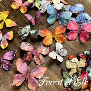 ������� С�t���������DIY�b� ������Ī�λ��@�L����������