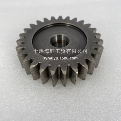 booster pump gear – Flywheel/Gear