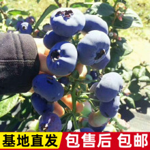 �����Ϸ������ļ��̨ˮ����NֲͥԺ���N������箔��Y��