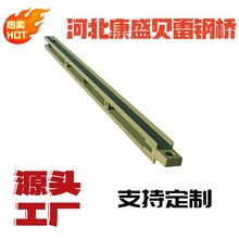 源头厂家贝雷桥施工桁架桥钢桥贝雷片加强弦杆