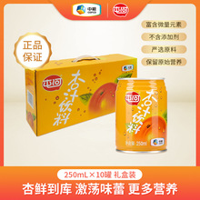 中糧屯河杏汁飲料營養果蔬汁 250ml*10罐禮盒 濃縮果汁無添加劑