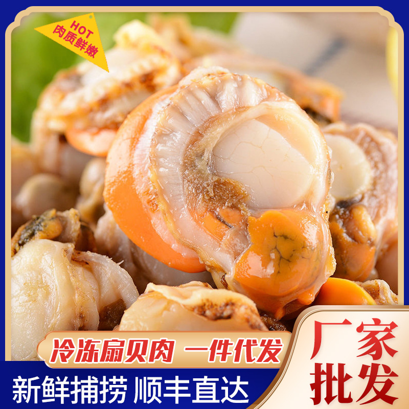 新鲜扇贝肉冷冻水产大号扇贝肉带黄无沙鲜冻扇贝肉冻鲜蛤蜊肉