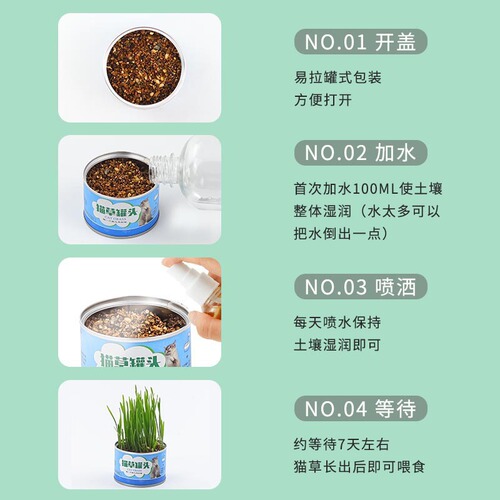 Wheat seed hydroponic cat grass canned seedling tray lazy cat hair ball piece dog grass mint potted plant manufacturer