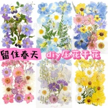Ѻ����ϸɻ����~ճ�N�������滨ֲ��˱��ֹ����z�ɻ�diy���ϰ�