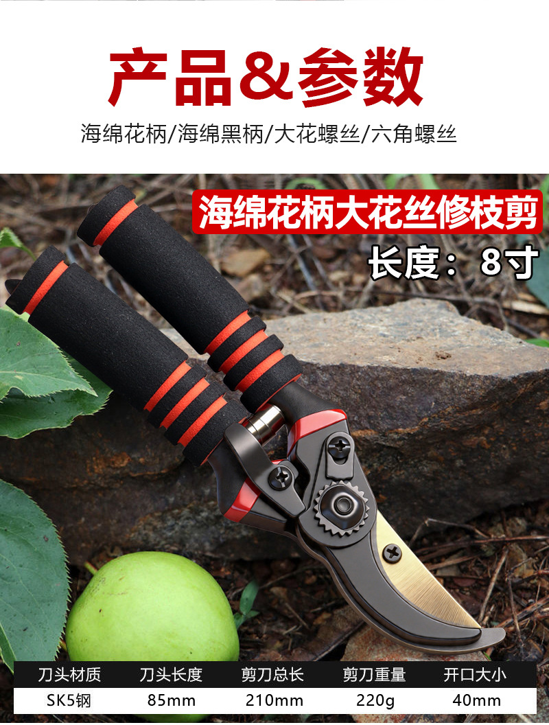 未标题-2_10.jpg