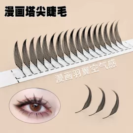 假睫毛