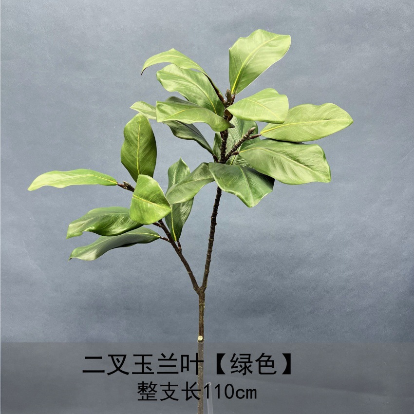 Hoja de Magnolia bifurcada - verde