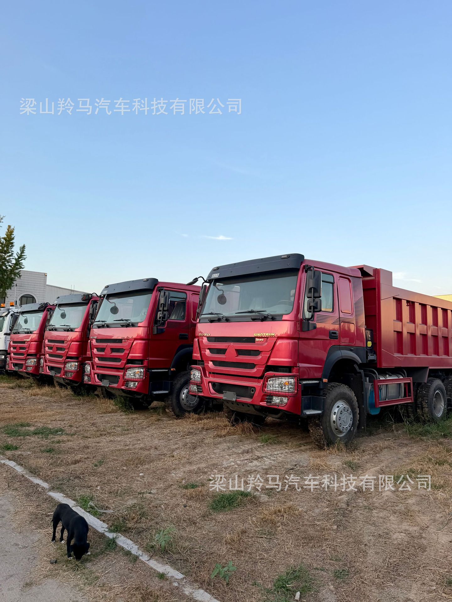 Cross-border medium-duty specialized work truck, HOWO 6x4 dump truck, eight-wheel dump truck, engineering transport truck