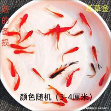 ���B��ˮ���ɼt���\����ˮ�~����ͻ���~���~�~���^�p�~����