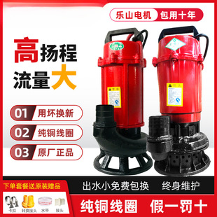 ��ˮ��220v���Æ���������ߓP���͸��g��S���{��ˮ�Ø�ɽ����