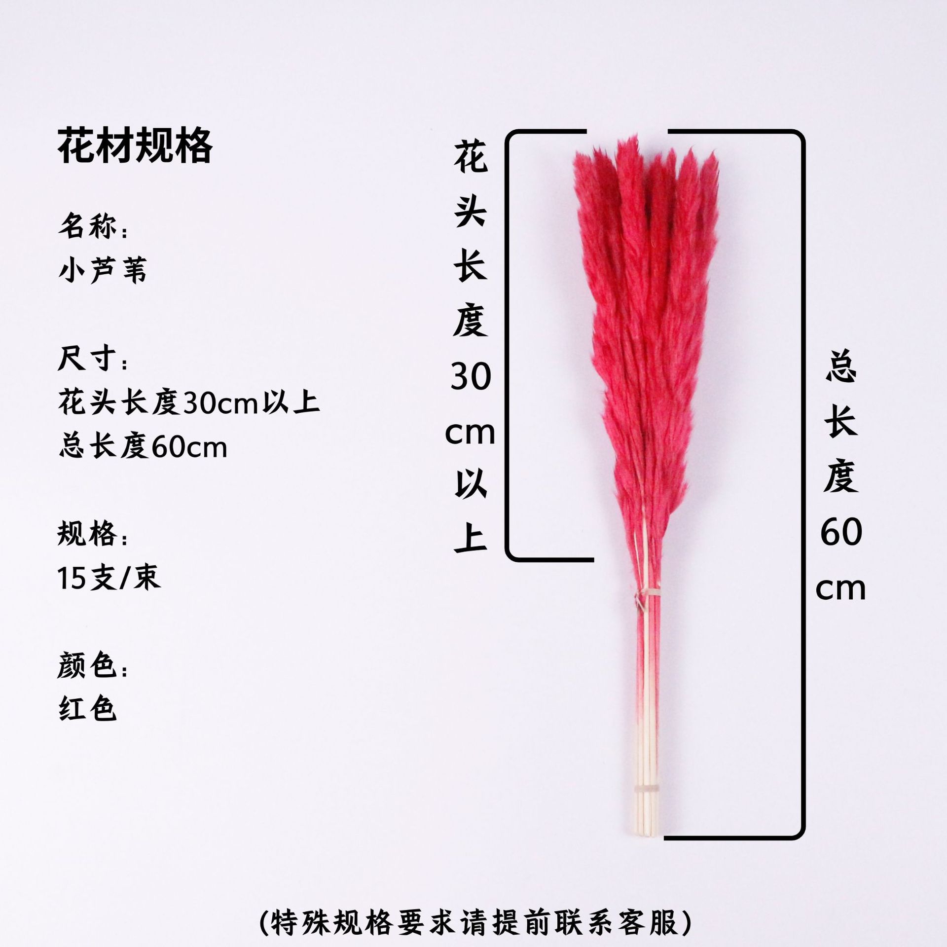 붉은 꽃 머리 30cm 이상