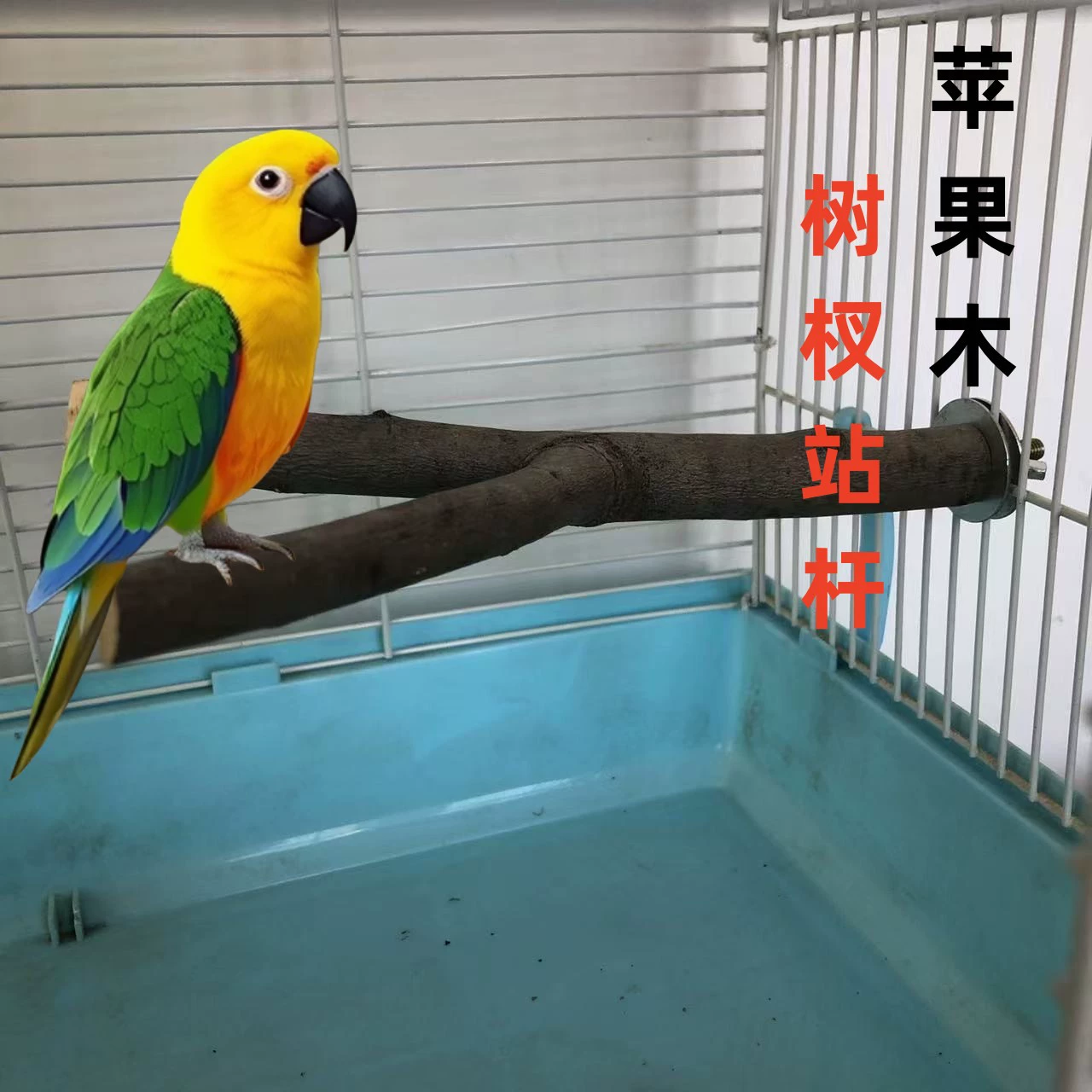 Оптовая продажа от производителя: популярная на Amazon подставка для попугаев, игрушка для птиц, стойка из яблочного дерева, ветка дерева, натуральная подставка из фруктового дерева, колонна.