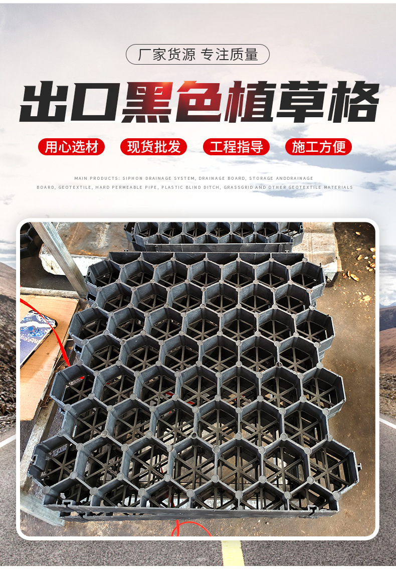 出口黑色植草格_02.jpg