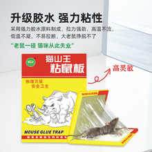 现货猫山王老鼠板大号老鼠贴捕鼠板强力粘鼠板厂家批发可一件代发
