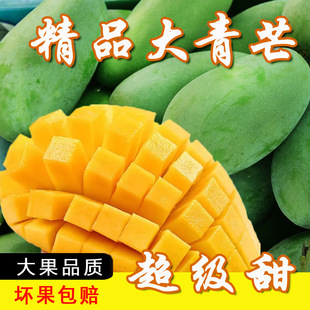 ����â�������rˮ�����â��â���̲��Ʒ�|â���a��ֱ�l������]