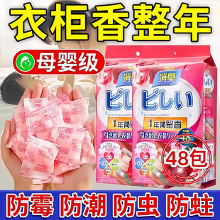 �������X������ù������ζ��x�������x������x��޹�·�ȥ����