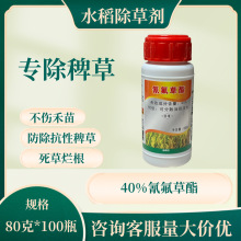 40% ݄ ˮ ޲ ǧ rșl