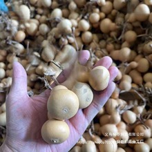 С���J��Ȼ���J������������[������S�ҵؔ�С����Ҿӿ���
