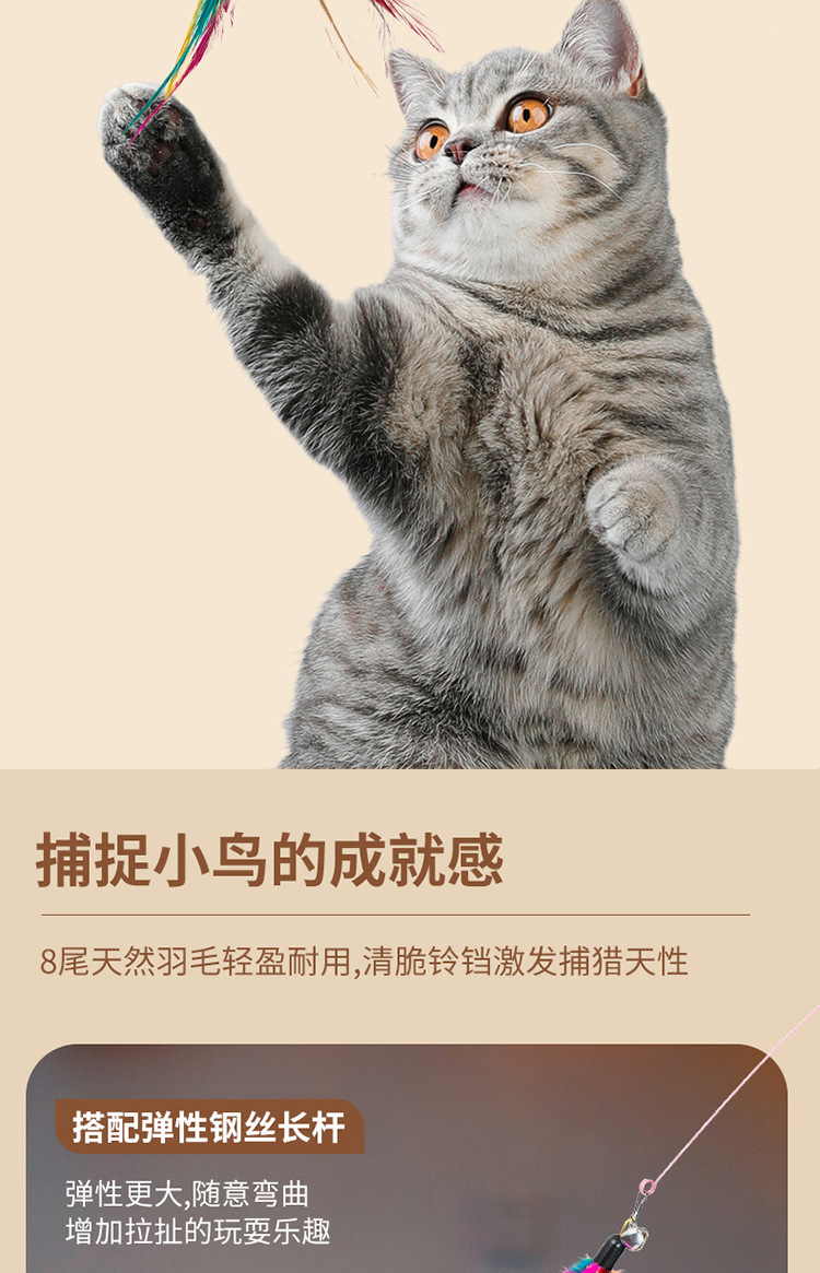 羽毛激光逗猫爆款750_06