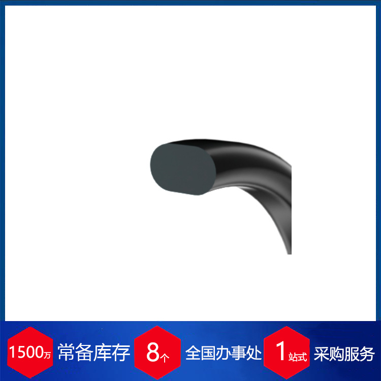 德国IDG密封件ore-812x7-r5011-70