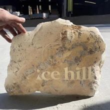 ���l��Ȼ����ԭʯ�^ʯ���T�Ƅe���������Ʒ��b��չ�dָʾ��