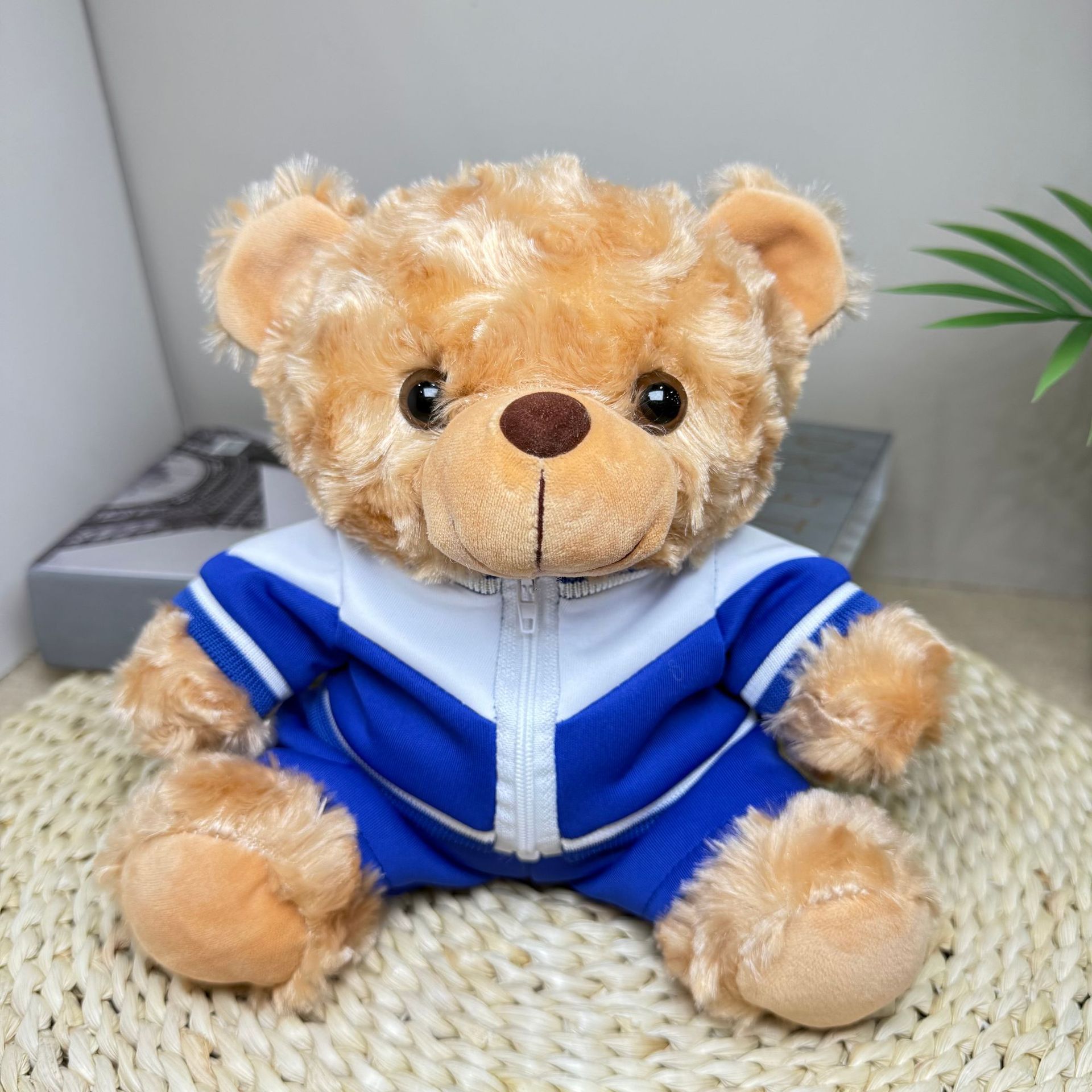 Uniformes escolares impresión de muñecas LOGO Wenchuang periferia regalo de graduación conmemorativo impresión de oso de peluche