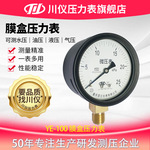 川仪316L不锈钢压力表耐腐蚀膜盒压力表径向1.6级锅炉烟道测压表