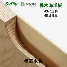 桦木海洋板进口家具多层胶合板全桦木胶合板衣柜橱柜木板板材4-40