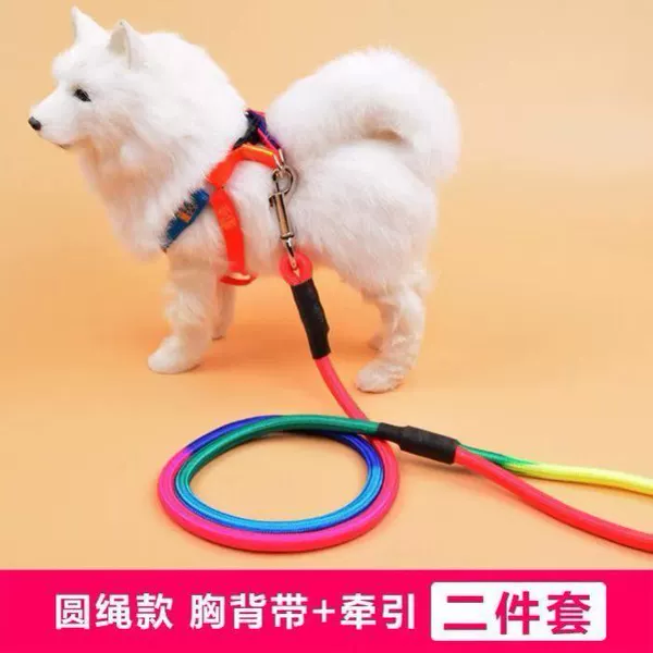 Colorful round rope: add rope on chest and back