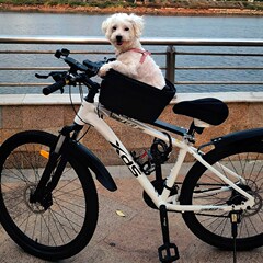 自転車ペットシート、犬用マウンテンバイク、ロードバイク、犬用カーバスケット、折りたたみ式車用子犬バスケット