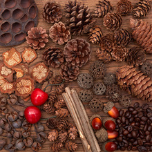 松果橡果树叶复古古风森系摆拍摄影拍摄拍照道具背景装饰摆件饰品